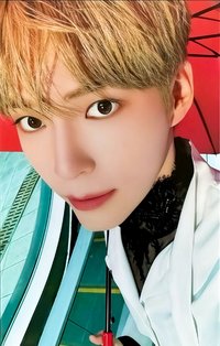 24'JP FC 演唱會 DVD / CD 卡 通常盤 自拍