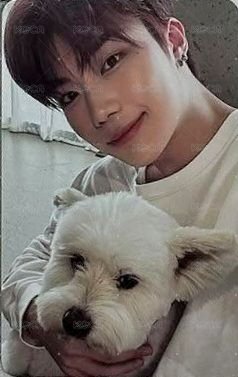 正規一 專輯卡 團封狗狗 正面