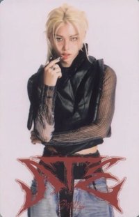 ATE 專輯卡 白版電子專固卡