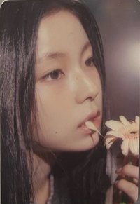 正規一快閃 隨機卡 