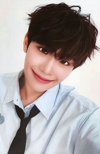 24'偶運會 入場卡 / 場限卡 