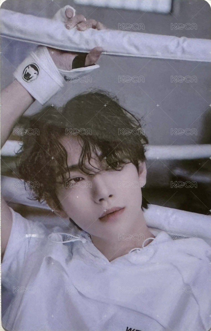 MINI10 專輯卡 WVS電子專 ver. 正面