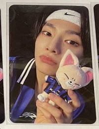 燦娃全專（豬兔ID+菲道具卡+寅拿娃卡）