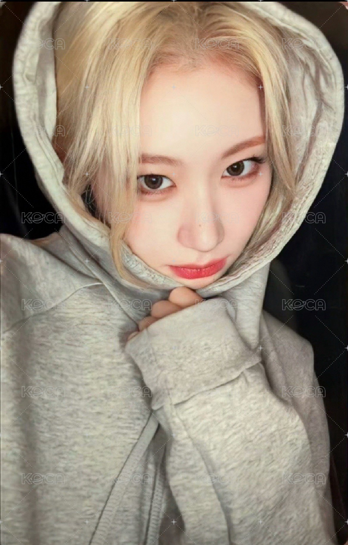 GOLD ms 3.0 簽售卡 帽T 正面