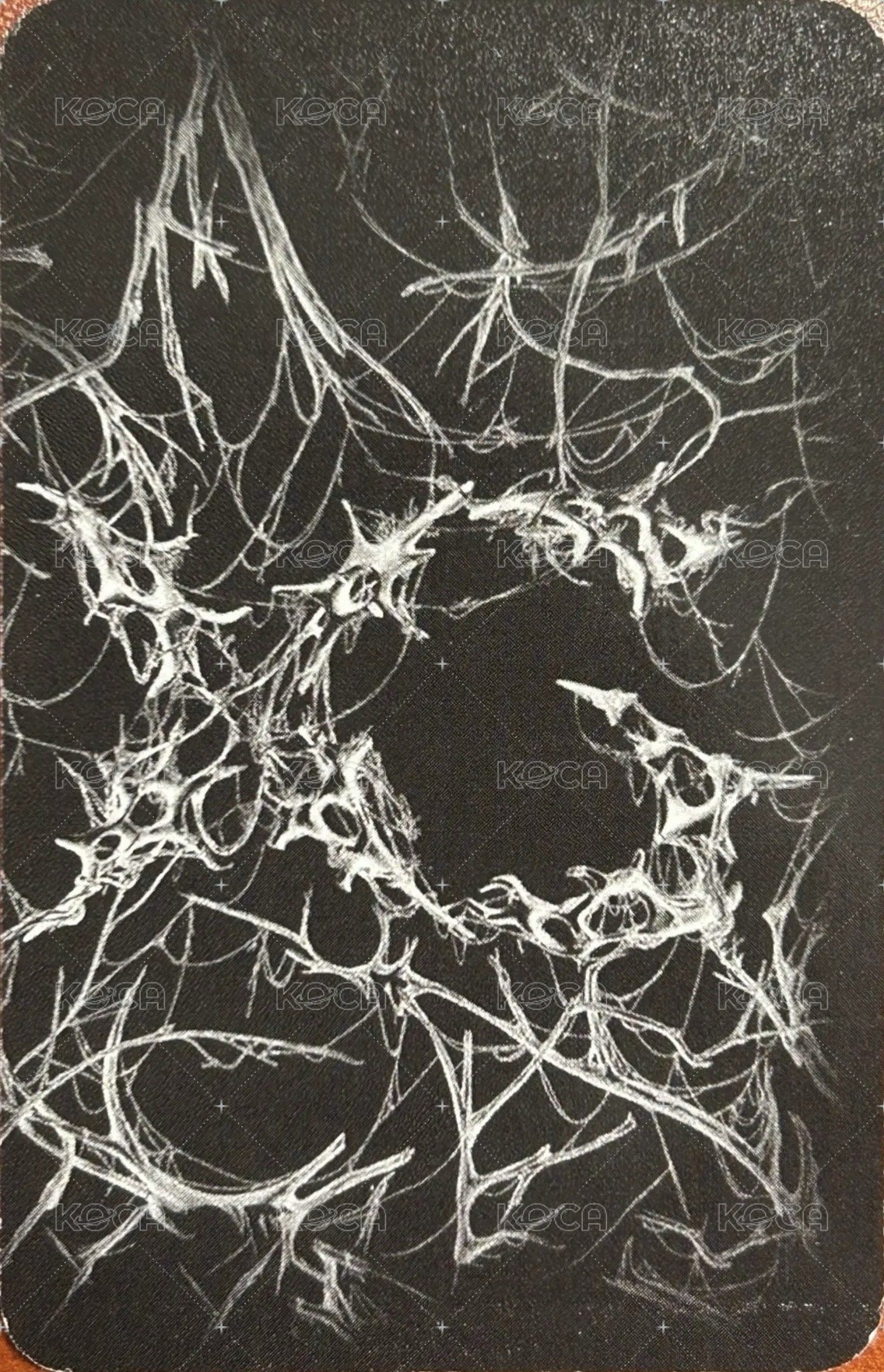 AWE 專輯卡  背面