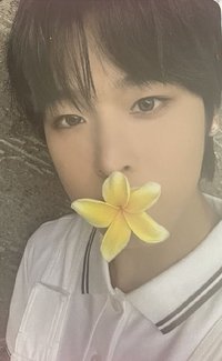 Color 專輯卡 Surf版