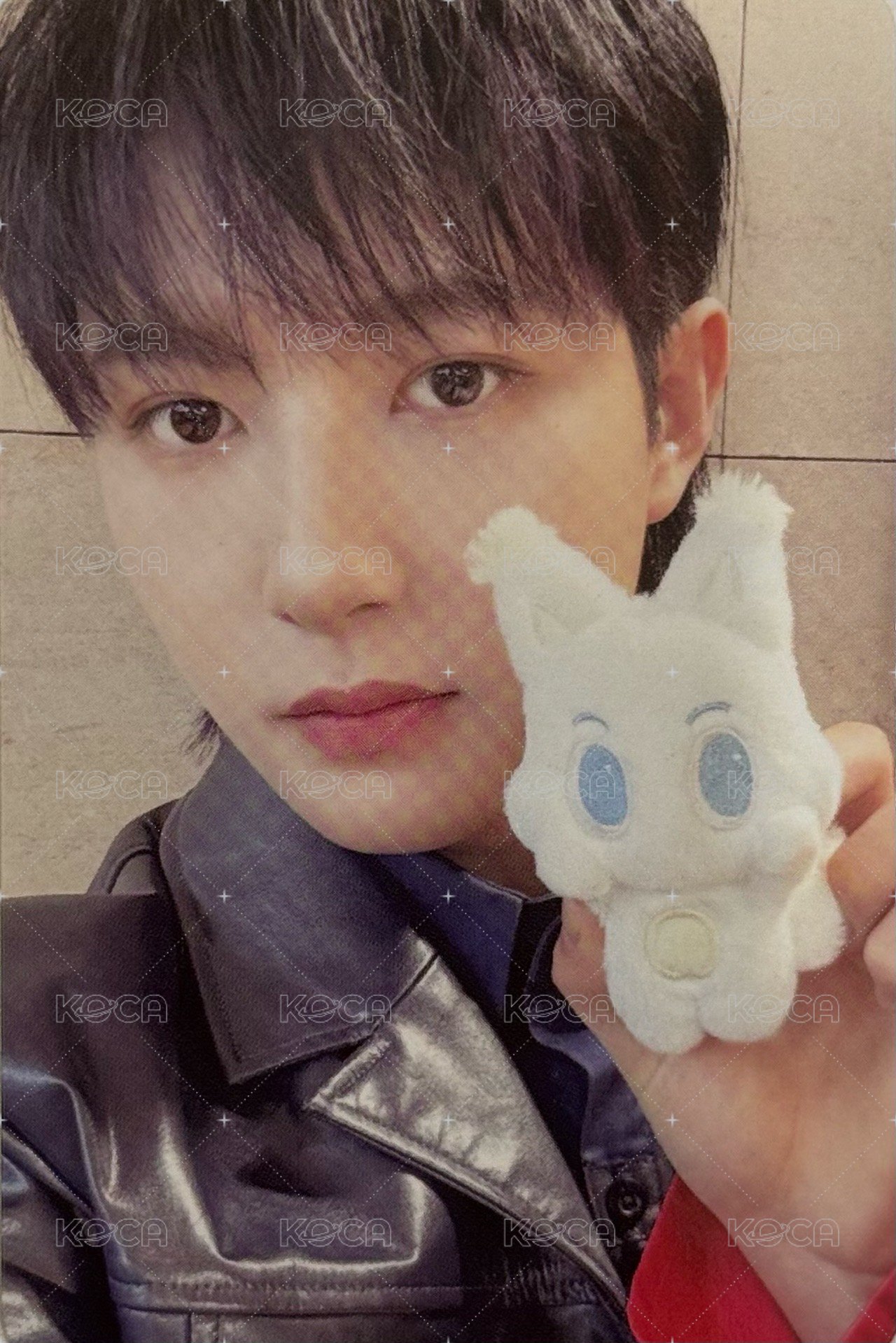 DREAM( )SCAPE 周邊卡 娃娃卡 正面