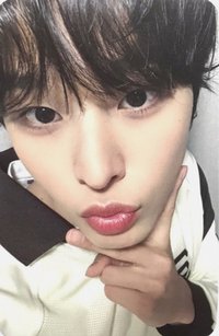 Songbird sw 線下 簽售卡 