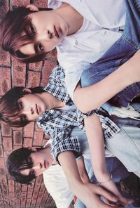 25年曆 wvs 特典卡 明信片