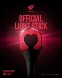 Official Light Stick