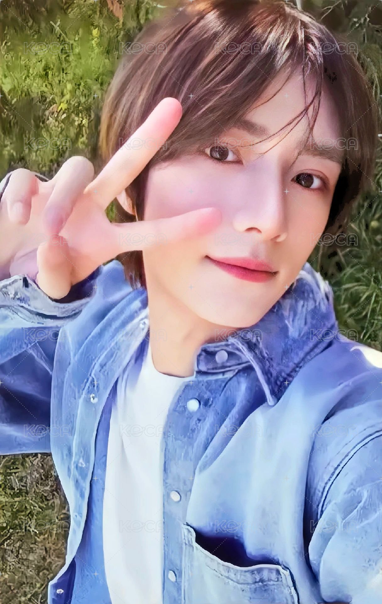 美巡寫真 周邊卡  正面