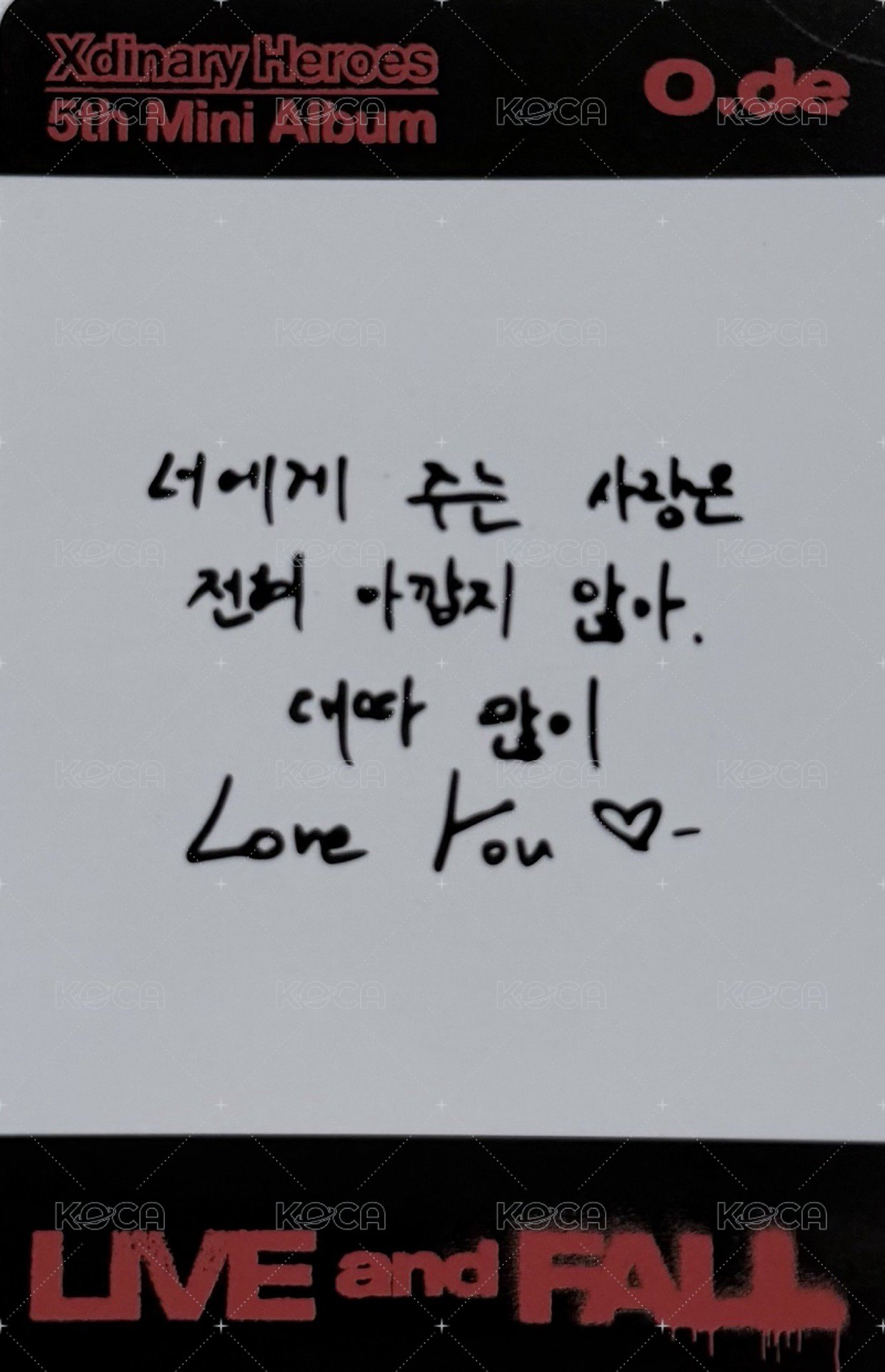 LIVE and FALL 專輯卡 FALL NEMO VER. 背面