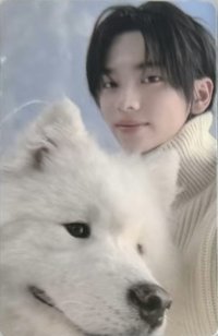 Last Bell wvs 幸運卡 