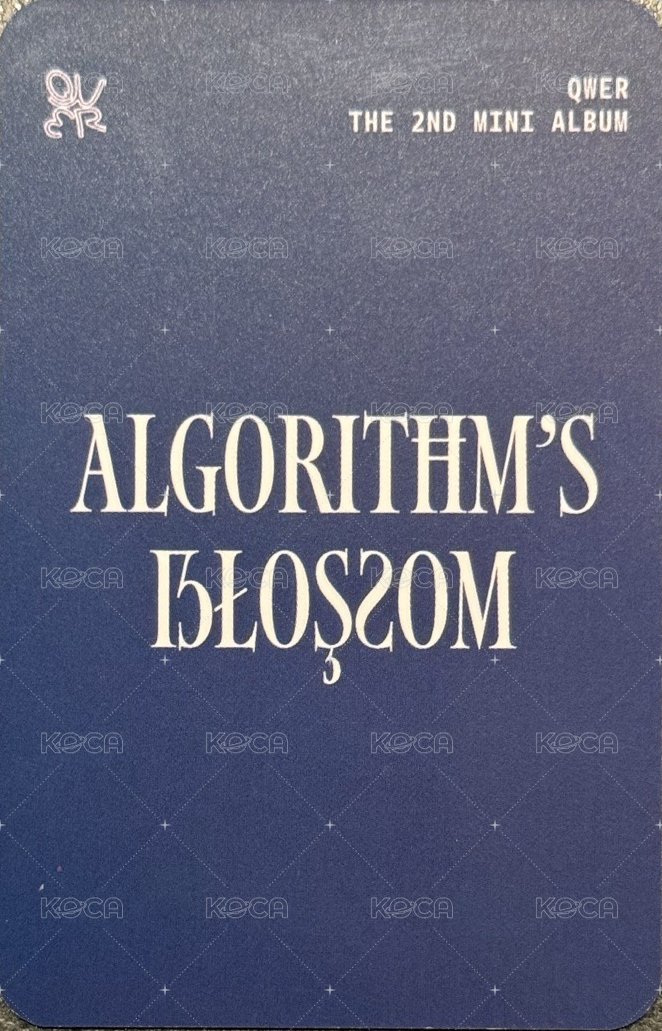 迷二 Kpopstore 線上3.0 特典卡 條紋燕 背面