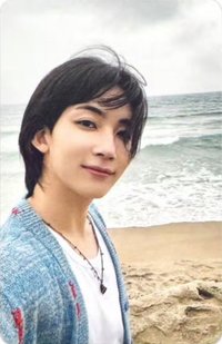 MINI12 walmart 特典卡 