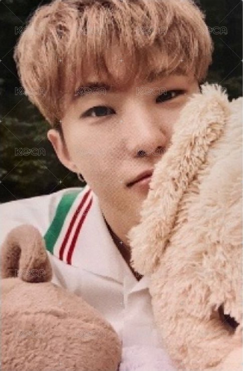 21‘DICON 雜誌卡  正面