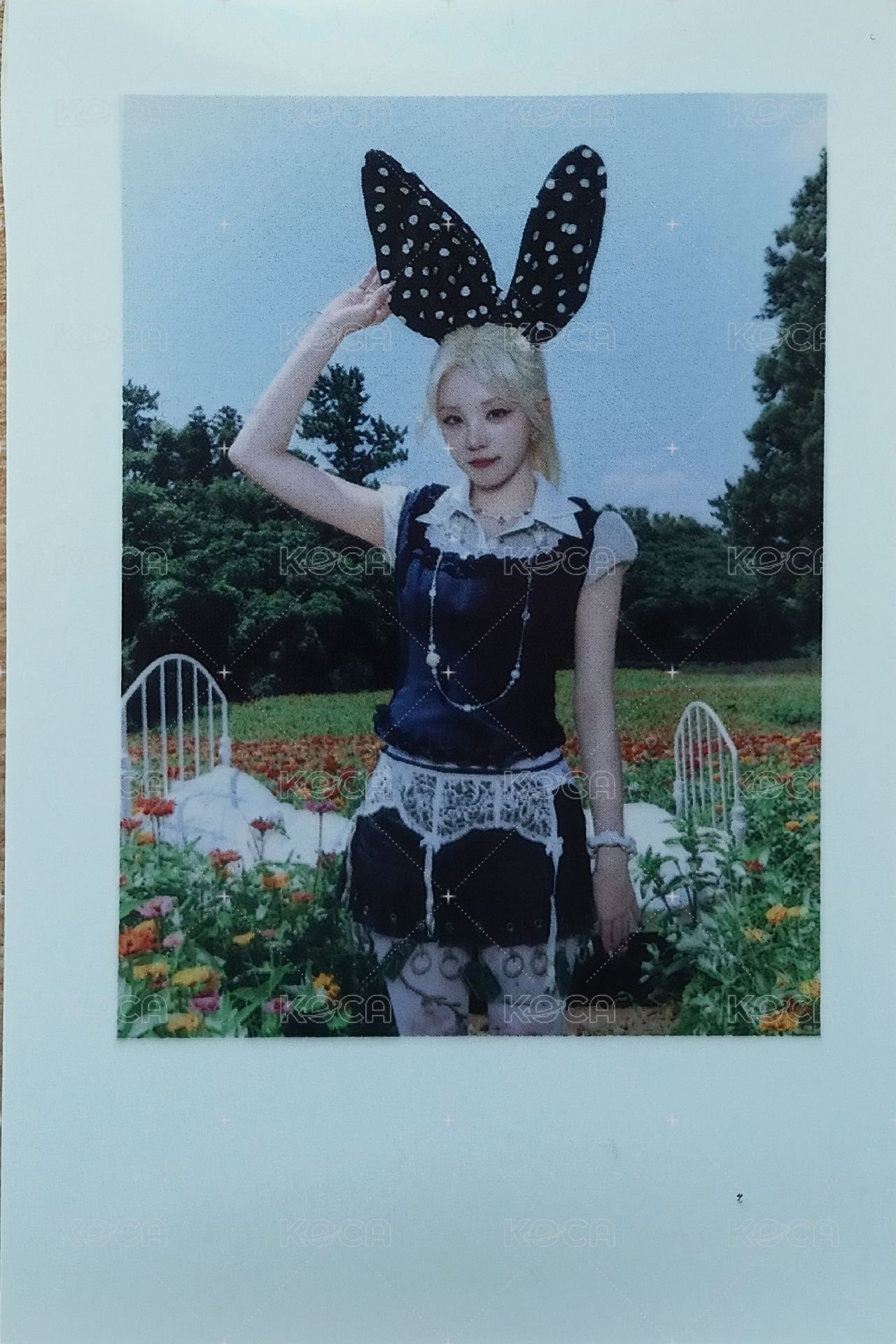 Motivation快閃店 微樂客 滿額卡 兔子拍立得卡 正面