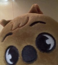 니（3/27-4/1不出貨）