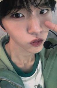 Songbird ma 2.0 簽售卡 