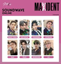 MAXIDENT SW 線上特典