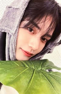 迷二 el 新世界 幸運卡 龍貓 ver.