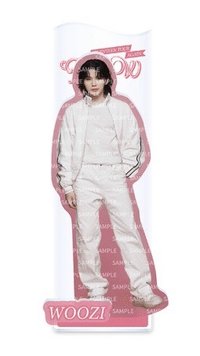 Follow Again 日巡 立牌 