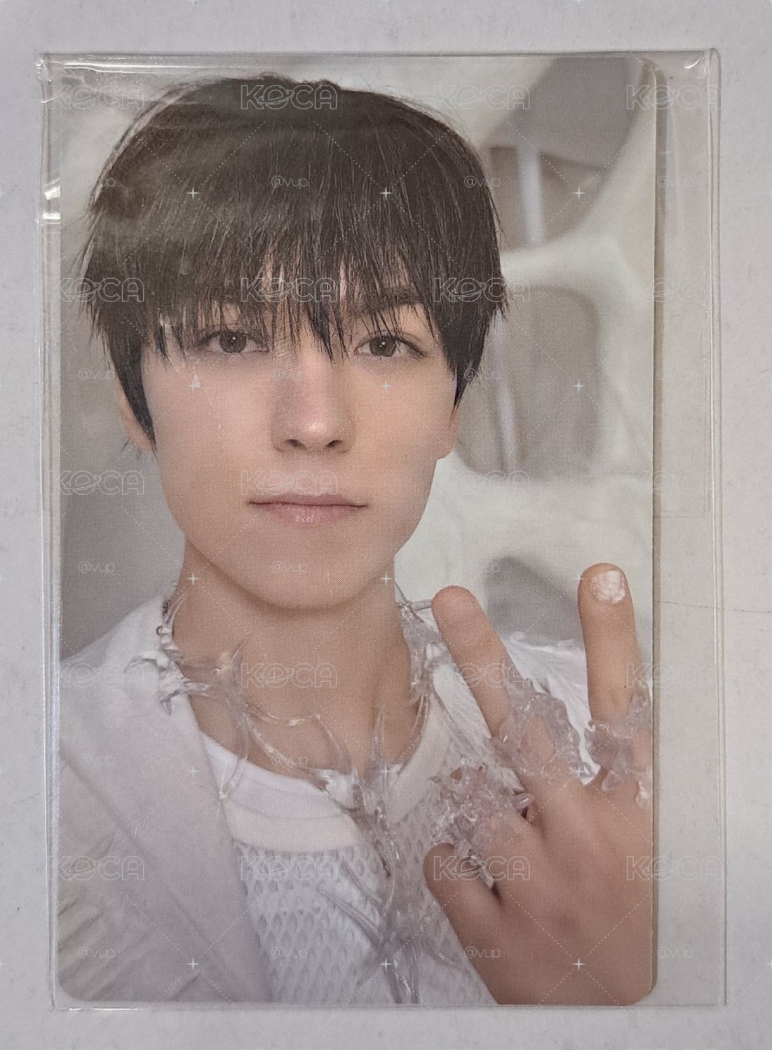 小北極熊🐻‍❄️ GV特典 Vernon