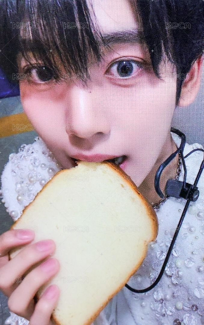 迷五 mp 特典卡 麵包ver. 正面